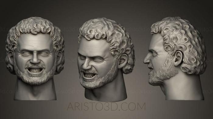Busts and bas-reliefs of famous people (BUSTC_0247) 3D model for CNC machine